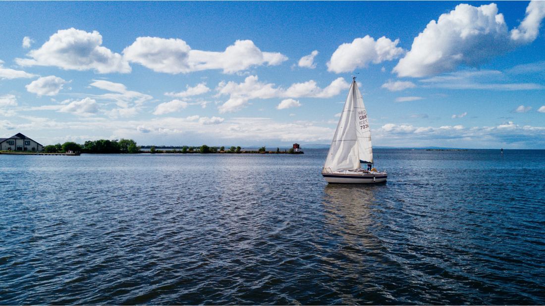 You Want to Learn a New Language, But Have You Missed the Boat?