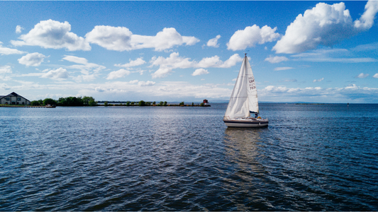You Want to Learn a New Language, But Have You Missed the Boat?