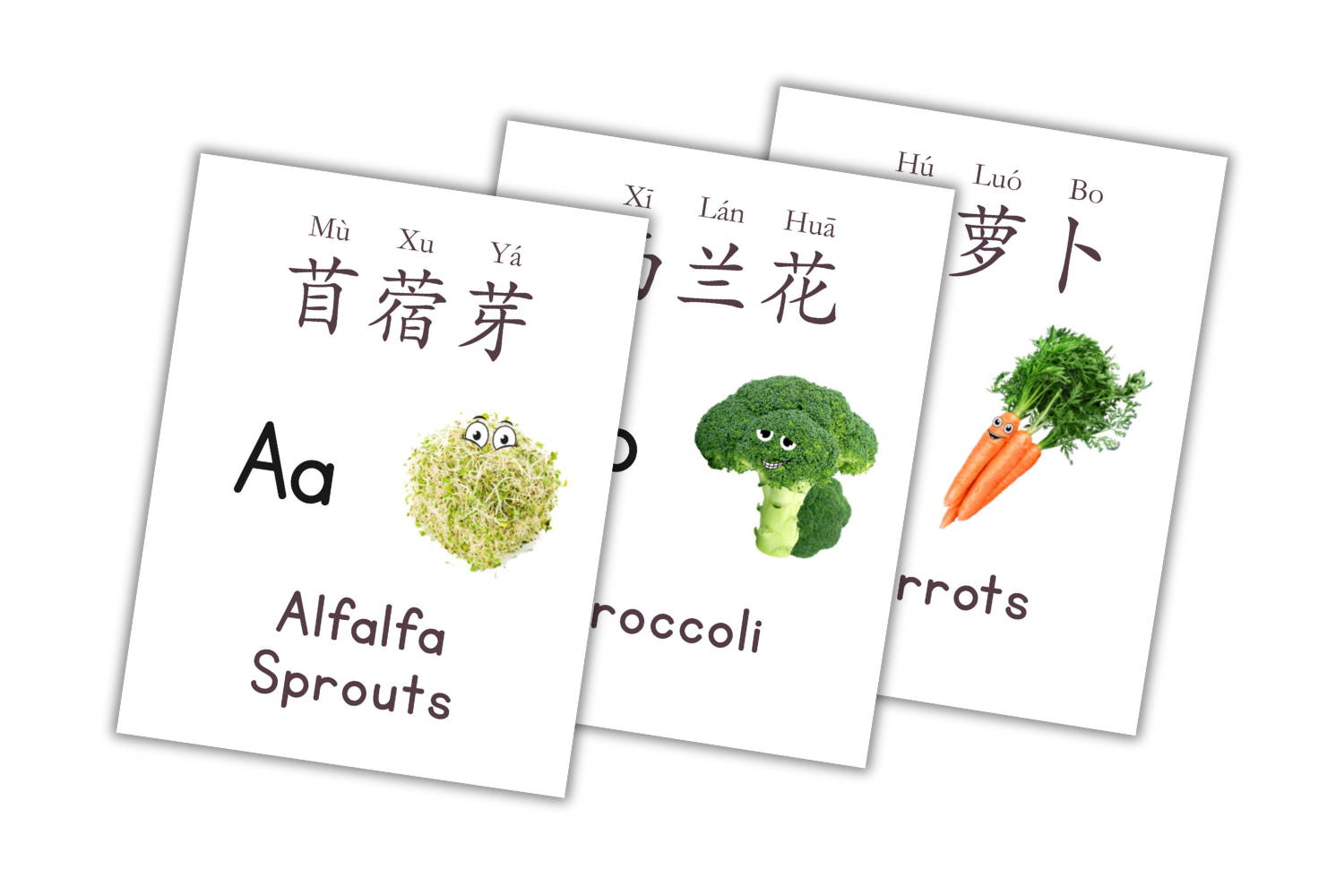 Printed cards featuring vegetables ABCs with both English and Chinese labels, intended for educational purposes.