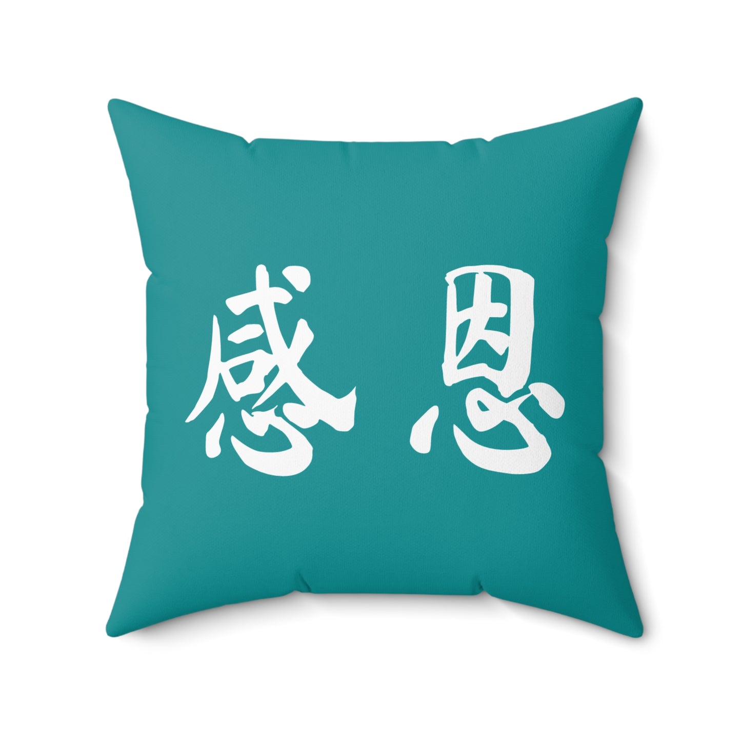 Square Pillow - Mountain 感恩 Throw Pillow with Solid Tropic Teal Back