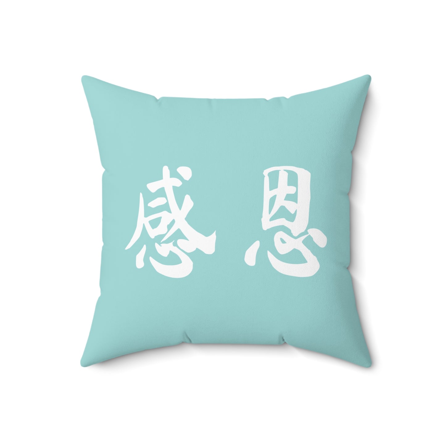 Square Pillow - Beach 感恩 Throw Pillow with Solid Mint Blue Back