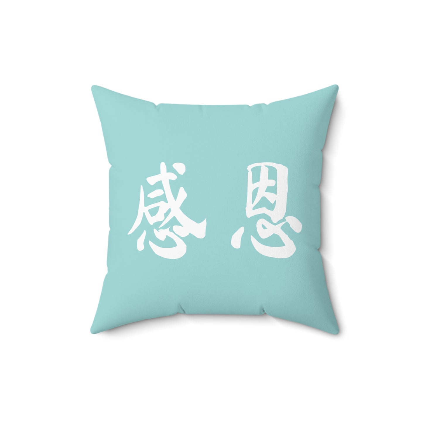 Square Pillow - Beach 感恩 Throw Pillow with Solid Mint Blue Back