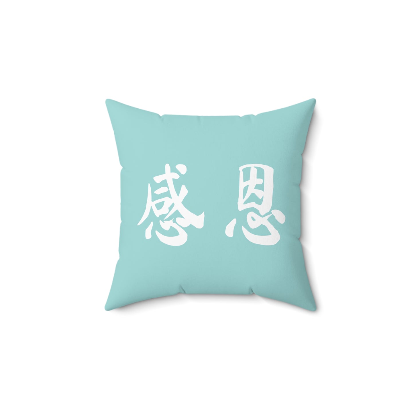 Square Pillow - Beach 感恩 Throw Pillow with Solid Mint Blue Back