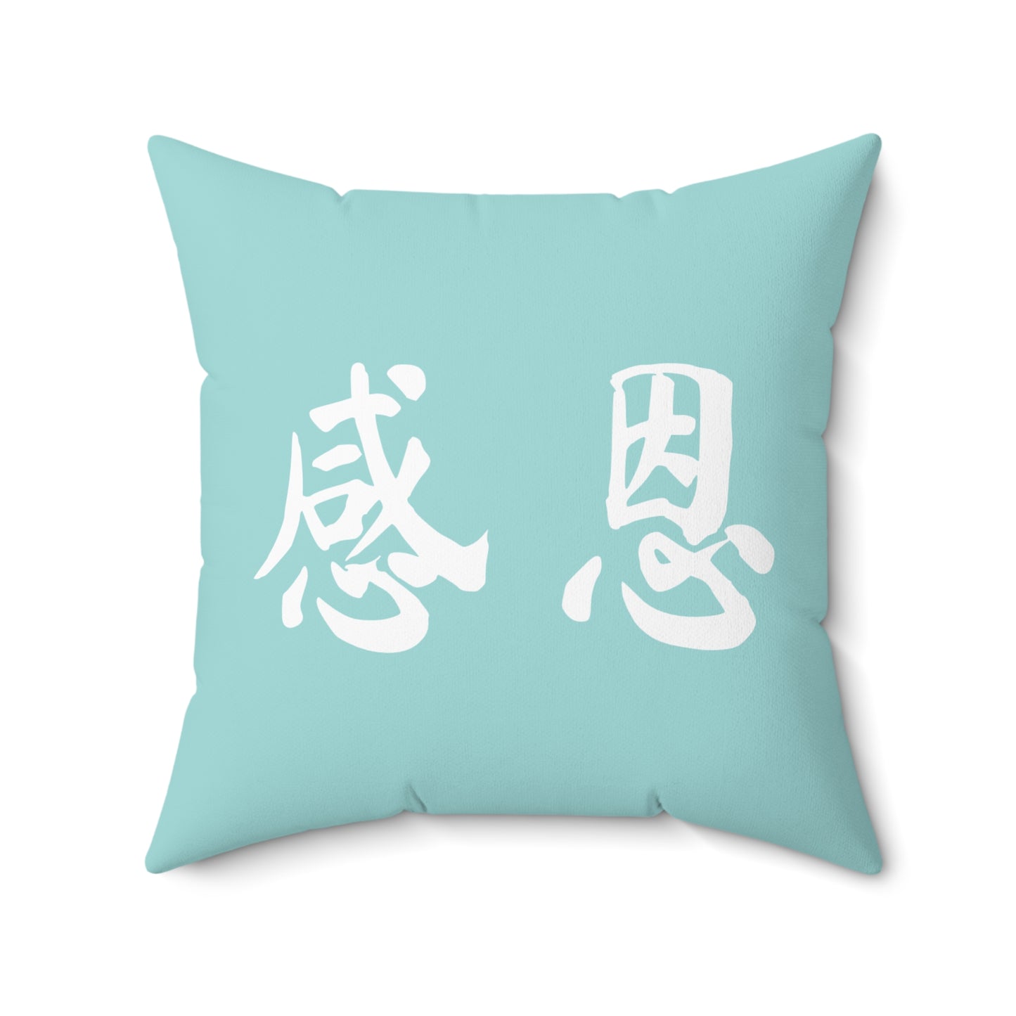 Square Pillow - Beach 感恩 Throw Pillow with Solid Mint Blue Back