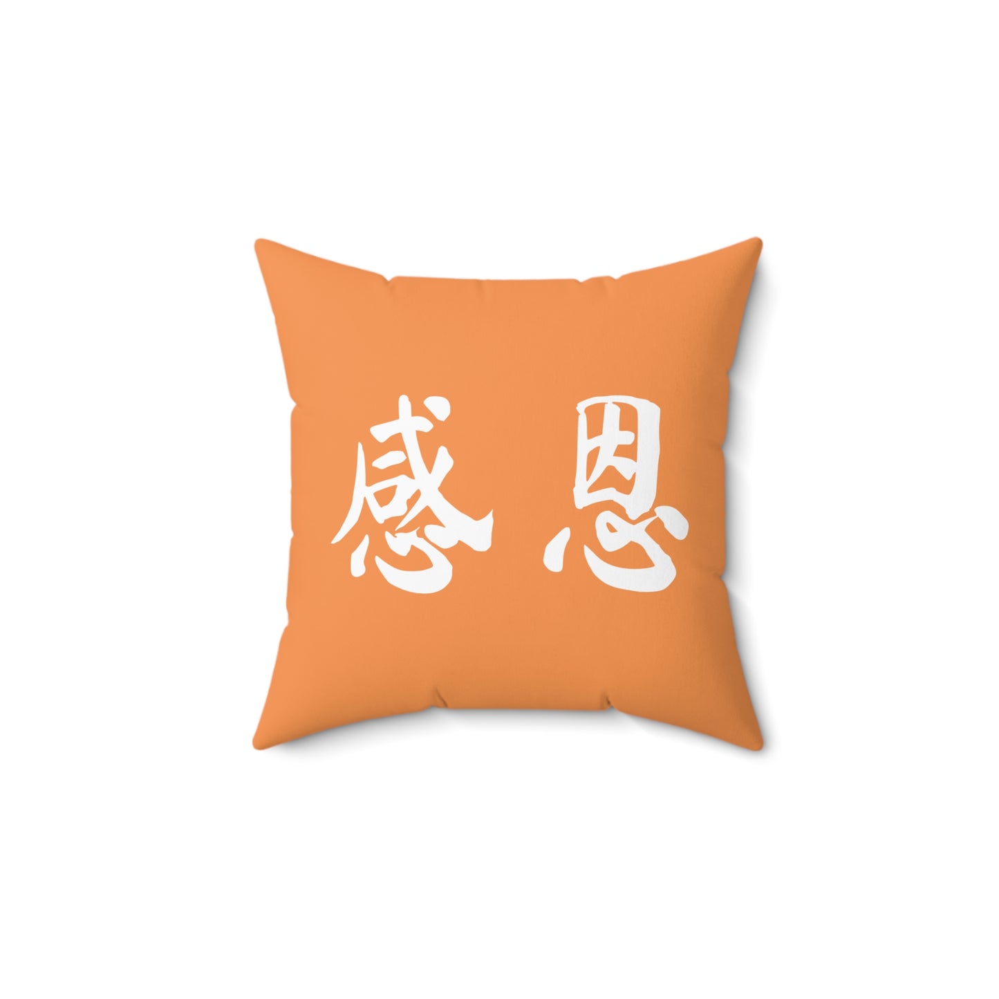 Square Pillow - Beach 感恩 Throw Pillow with Solid Melon Orange Back