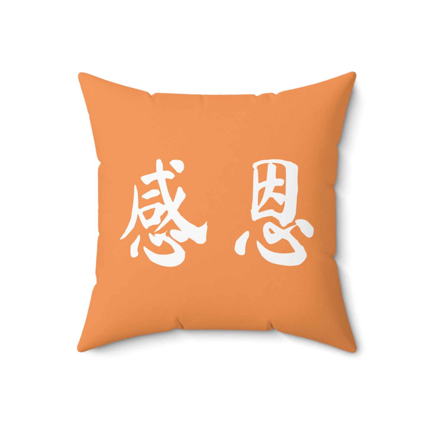 Square Pillow - Beach 感恩 Throw Pillow with Solid Melon Orange Back