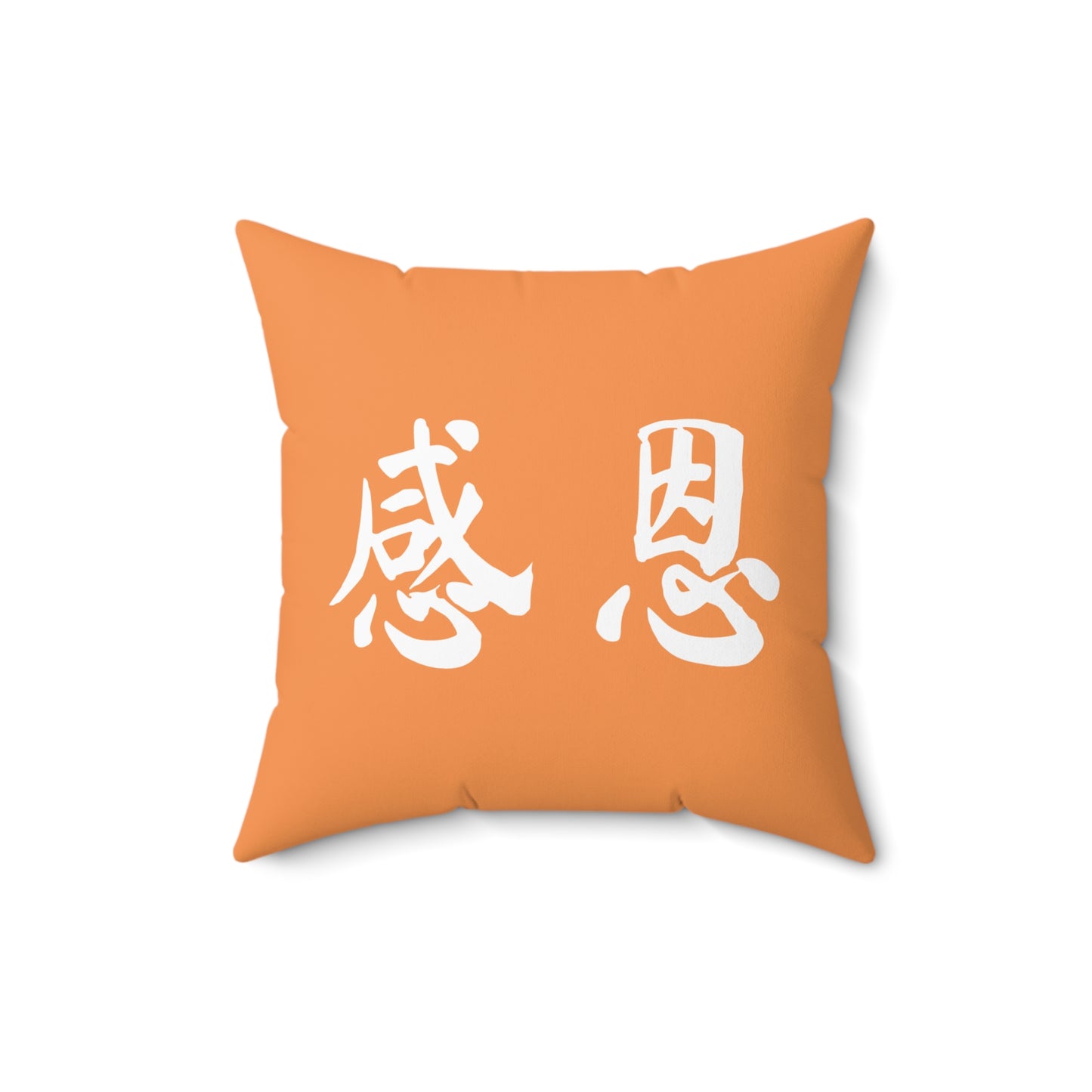 Square Pillow - Beach 感恩 Throw Pillow with Solid Melon Orange Back