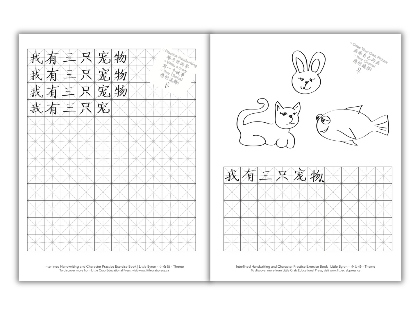 Little Byron - Xiǎo Bái Rèn - 小白任 Companion Exercise Book